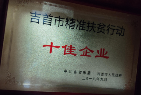 十佳企业